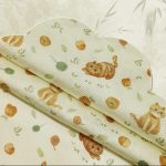 Oranges & Orange Cats