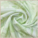 Spring Dawn at Jade Hall