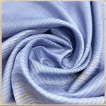 Ceratostigma willmottianum Stapf